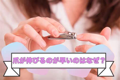 ちんこの皮|ちんこの皮は伸びる？原因やデメリットと併せて改善。